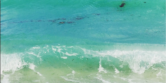 Poshmark banner for @anaesthetic